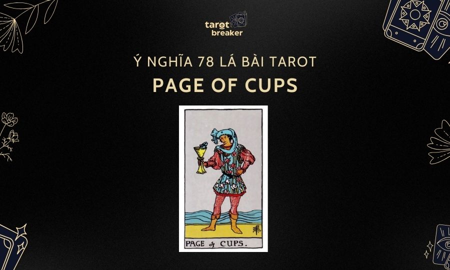 Page of Cups – Ý Nghĩa Lá Page of Cups Trong Bài Tarot