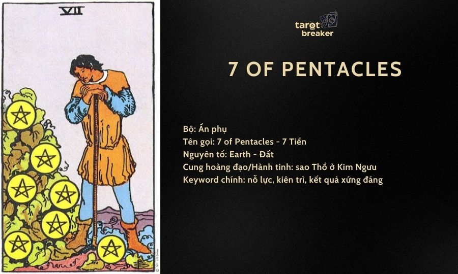 7 of pentales tarot 2