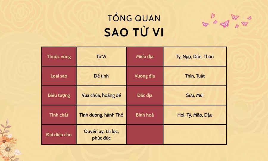 sao tu vi 2