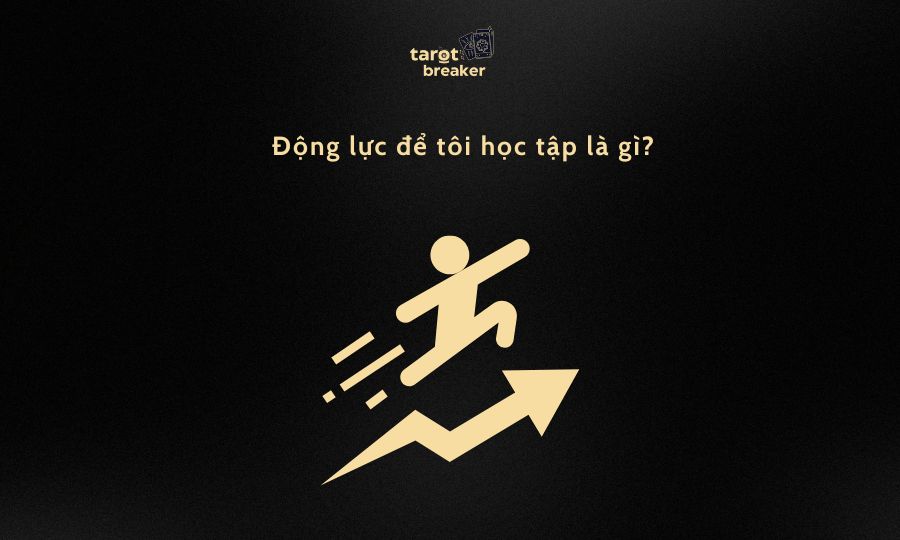 cau hoi tarot ve hoc tap 2