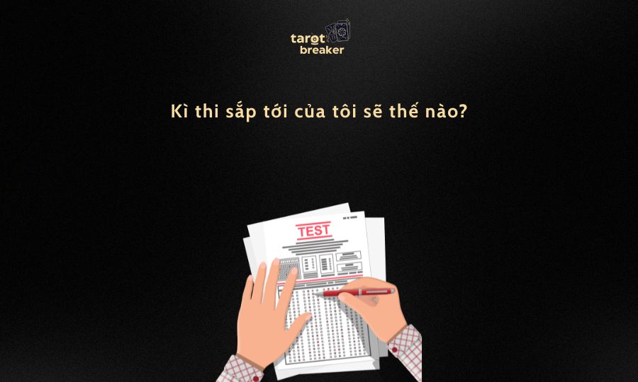 cau hoi tarot ve hoc tap 3