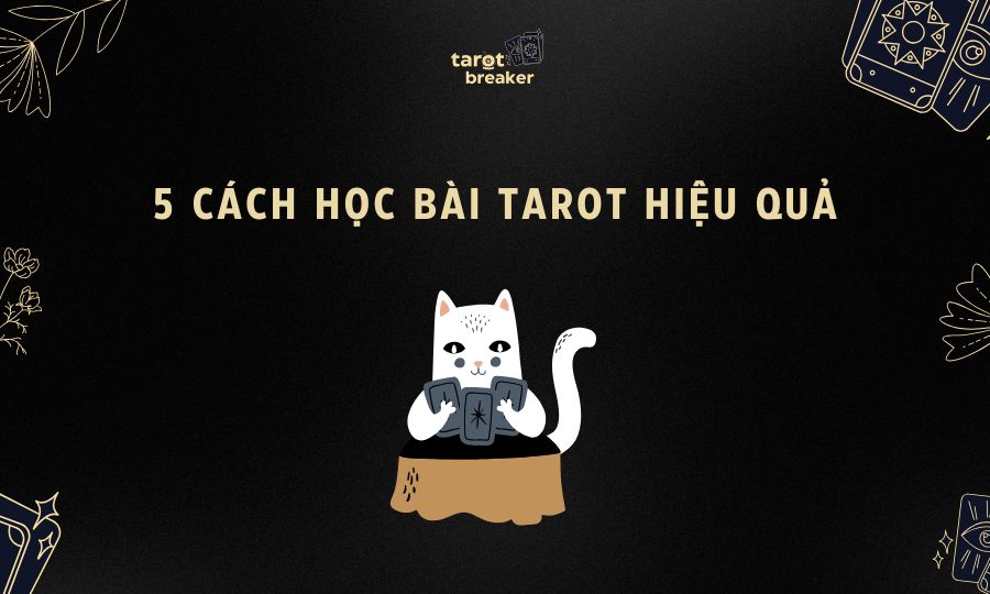 5 Cách học ý nghĩa các lá bài Tarot nhớ lâu cho người mới