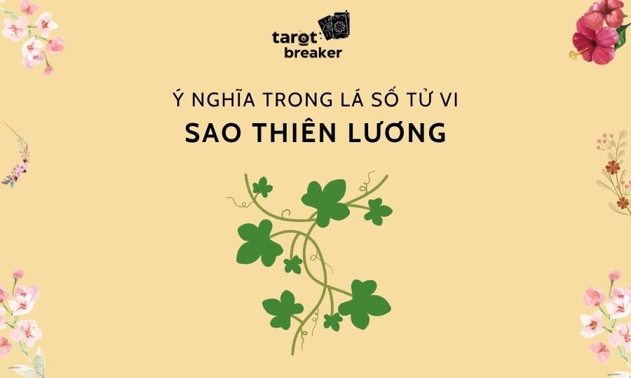 Sao Thiên Lương Trong Lá Số Tử Vi: Ý Nghĩa, Tính Chất Tại Mệnh Và Các Cung